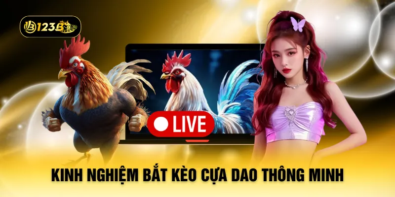 Kinh nghiệm bắt kèo cựa dao thông minh